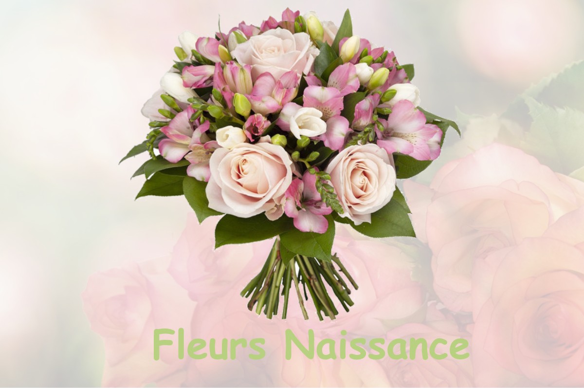 fleurs naissance LAVERNOSE-LACASSE