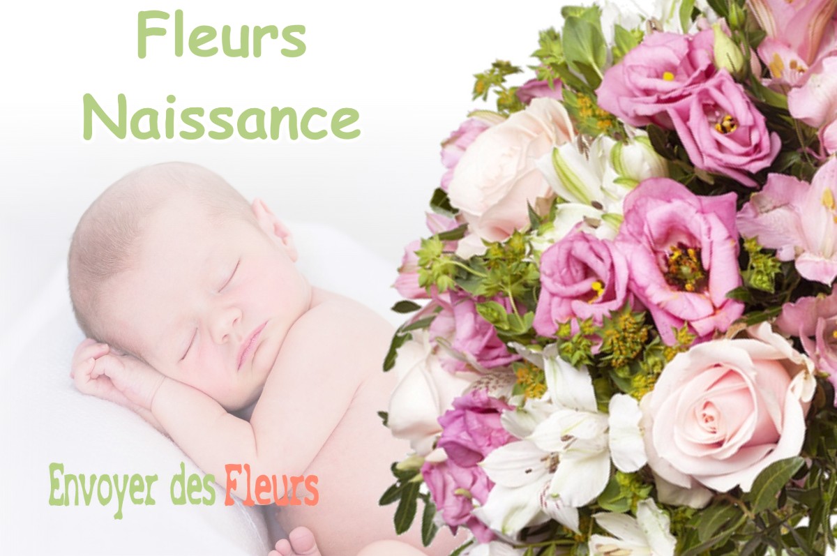 lIVRAISON FLEURS NAISSANCE à LAVERNOSE-LACASSE