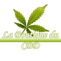 LA BOUTIQUE DU CBD LAVERNOSE-LACASSE 